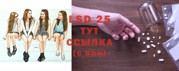 твердый Новозыбков