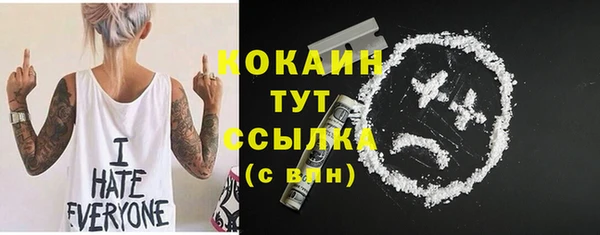 дмт Новодвинск