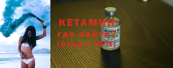 твердый Новозыбков