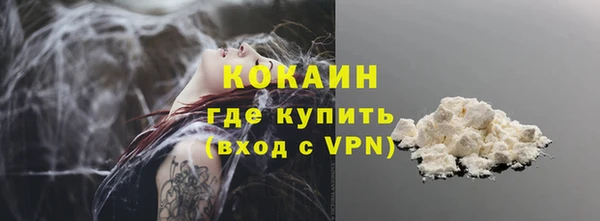 твердый Новозыбков