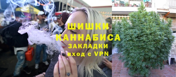 твердый Новозыбков