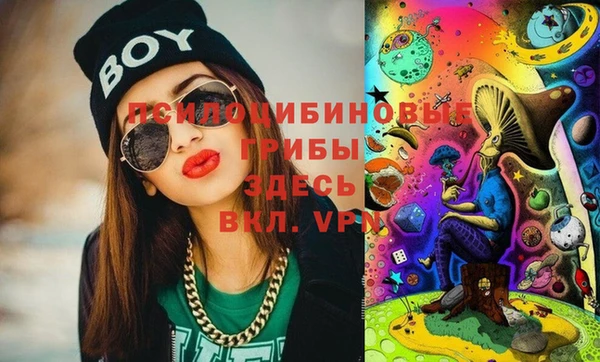 твердый Новозыбков