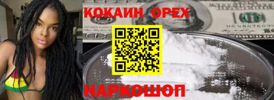 стафф Гатчина