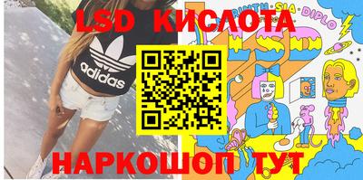 стафф Гатчина