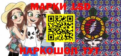 стафф Гатчина