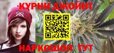 стафф Гатчина