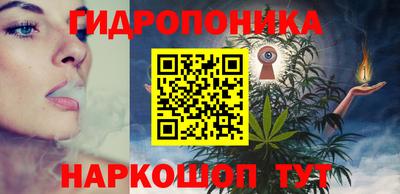 стафф Гатчина