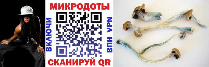 Галлюциногенные грибы GOLDEN TEACHER  OMG сайт  Карпинск 