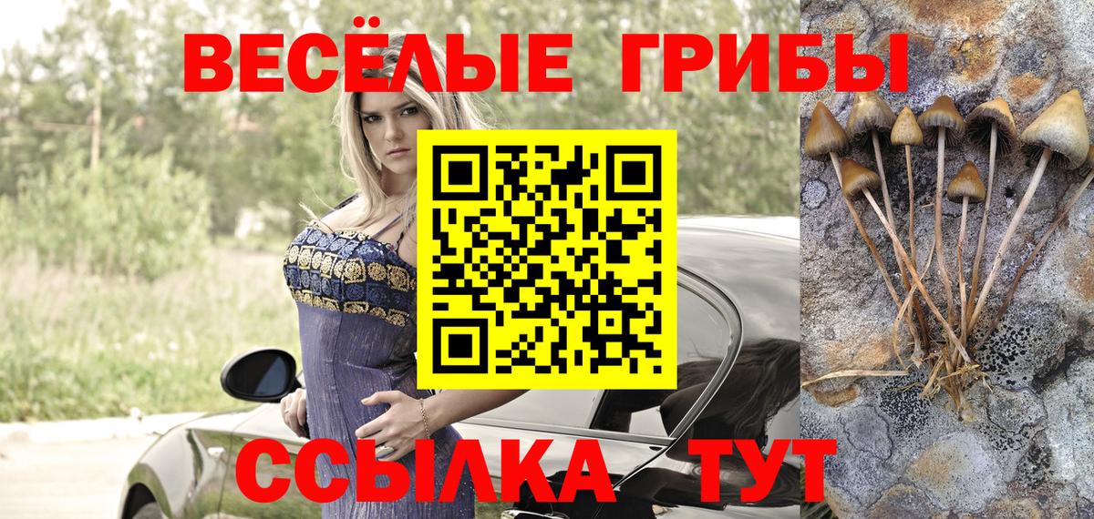 Галлюциногенные грибы Psilocybe Карпинск