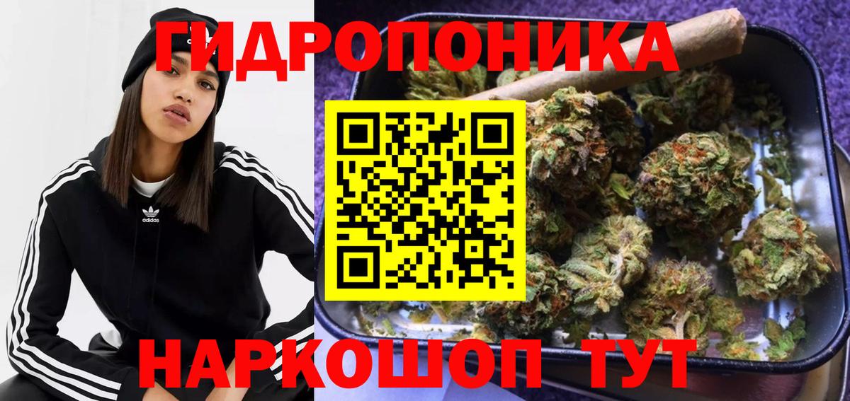 Шишки марихуана конопля  Бошки марихуана семена  Карпинск  Вход с VPN  Марихуана индика 